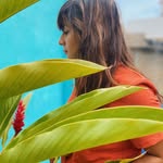 pamvitluz profile picture