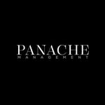 panachemanagement profile picture
