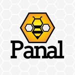 panal.mx profile picture