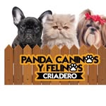 panda_caninos profile picture