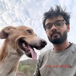 paneer_pizza profile picture
