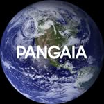 pangaia profile picture