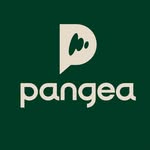 pangeacity profile picture