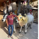 pankajpatel1562 profile picture