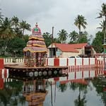 panpozhi_gram profile picture