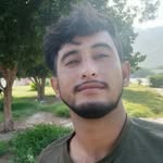 pansuvi profile picture