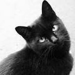 paola.bicci profile picture