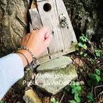paola_paesano profile picture