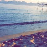 paola_z2 profile picture