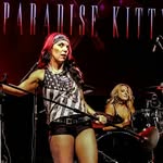 paradisekittyband profile picture