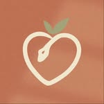 paradiziaswimwear profile picture