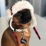 parkerbuddons profile picture