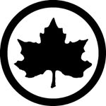 parkpictures profile picture