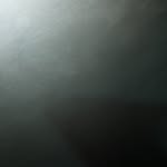 parle11110 profile picture
