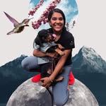 parmitashroff profile picture