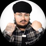 parmvsthewrld profile picture