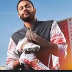 parthib1011 profile picture