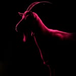 partidodelahistoria profile picture