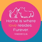 partners4petsil profile picture