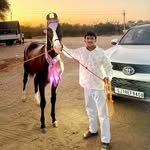partthsinh9 profile picture