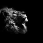 parvinder3213 profile picture