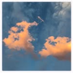 pascal_dolemieux profile picture