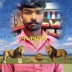 patani5613 profile picture