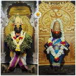 patil_234489 profile picture
