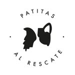 patitasalrescate profile picture