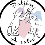 patitasasalvo_ profile picture