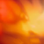 patrick_bienert profile picture