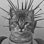 patrick_korb profile picture