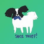 patrick_the_papillon profile picture