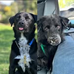 patrickthesurvivor profile picture