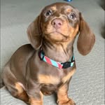 patrikia_89 profile picture
