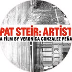 patsteir_artist profile picture