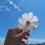 paty_silva195 profile picture