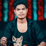 paudikumar123456 profile picture