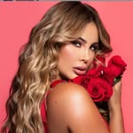 paulitaar profile picture