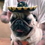 paulmittleman profile picture