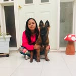 pautsaavedra profile picture