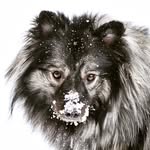 pavlikspictures profile picture