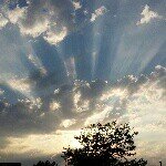 pawprints_in_the_sky profile picture