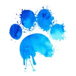 pawsforlifek9 profile picture