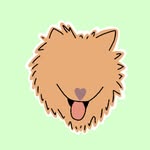 pawsntreats profile picture