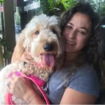 pawsoflovedoodles profile picture