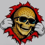 peanut186 profile picture