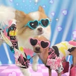 peanutsclawset profile picture