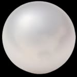 pearlassociation profile picture