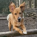 pebbles_puschmann profile picture